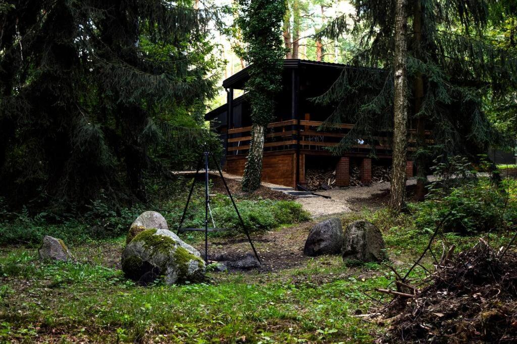 Okno Na Las Wola Polska Exterior photo